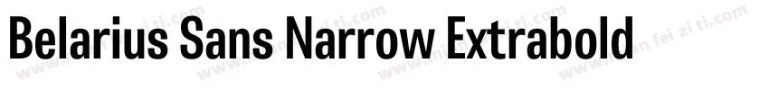 Belarius Sans Narrow Extrabold Obli字体转换